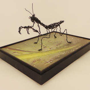 Wire Sculpture