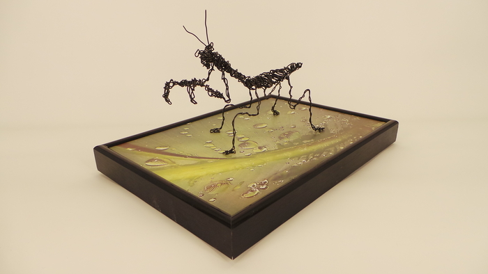 Wire Sculpture