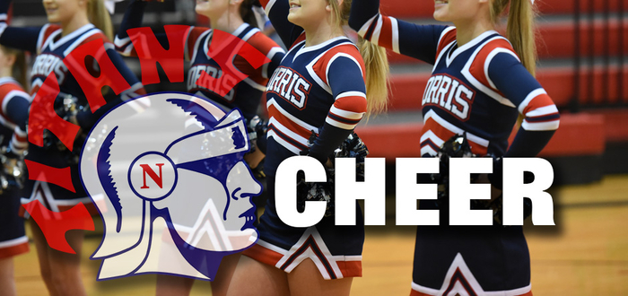 Cheer Mini-Clinic