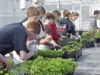 Greenhouse Management