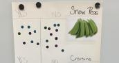 Kindergarten Students Try New and Healthy Foods