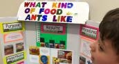 Norris Intermediate annual science fair