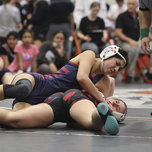 Girls Wrestling Gallery